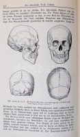 Dr. Hans F. K. Günther: Rassenkunde des deutschen Volkes. München, 1930, J. F. Lehmanns Verlag. Kiadói félbőr kötés, német nyelven, szövegközti fekete-fehér fotókkal és illusztrációkkal. Dr. Hans F. K. Günther (1891-1968) német
