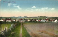 30 db RÉGI magyar és történelmi magyar városképes lap, köztük fotólapok, vegyes minőségben / 30 pre-1945 Hungarian and Historical Hungarian town-view postcards, with photos, mixed quality