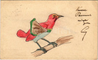 1915 Kézzel rajzolt trópusi madár / hand-drawn tropical bird art postcard (EK)