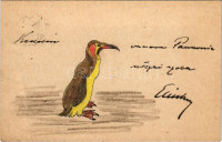1915 Kézzel rajzolt trópusi madár / hand-drawn tropical bird art postcard (EB)