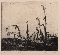 ISTVÁN SZŐNYI (1894-1960) - Corn field