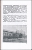Szilágyi György: A Nyilas jegyében. Bp., 1998, Bereményi. Kiadói papírkötésben, volt könyvtári példány.