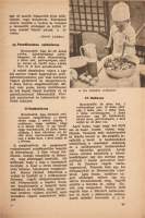 A Hirlap szakácskönyve