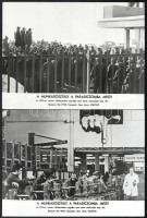 1971 ,,A munkásosztály a paradicsomba megy' című olasz film jelenetei és szereplői, 13 db vintage produkciós filmfotó, 18x24 cm