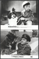 Kutyák különféle külföldi filmekben, 11 db vintage produkciós filmfotó, ezüst zselatinos fotópapíron, kisebb - a használatból eredő - hibákkal, 18x24 cm, vagy ehhez közeli méretekben (+ - 8 mm)