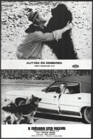 Kutyák különféle külföldi filmekben, 11 db vintage produkciós filmfotó, ezüst zselatinos fotópapíron, kisebb - a használatból eredő - hibákkal, 18x24 cm, vagy ehhez közeli méretekben (+ - 8 mm)