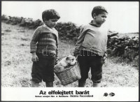 Kutyák különféle külföldi filmekben, 11 db vintage produkciós filmfotó, ezüst zselatinos fotópapíron, kisebb - a használatból eredő - hibákkal, 18x24 cm, vagy ehhez közeli méretekben (+ - 8 mm)