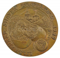 1999. 'Lillafüred Shaver Konferencia 1999' egyoldalas bronz plakett (110mm) T:2 patina, hátoldalán ragasztófolt