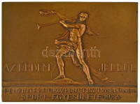 Gács Lajos (1905-1981) 1937. 'Pénzintézeti Központ Tisztviselőinek Sport Egyesülete 1923. - Az érdem jeléül' bronz emlékplakett, hátoldalán 'Dr. Lukáts József vívó sz. o. vezetőnek 1927-1937' gravírozással (64x84mm) T:AU kis