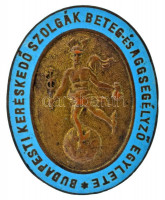 1900. Budapesti Kereskedő Szolgák Beteg- és Aggsegélyező Egylete részben zománcozott bronz gomblyukjelvény (36x29mm) T:AU / Hungary ~1900. Budapesti Kereskedő Szolgák Beteg- és Aggsegélyező Egylete partially enamelled bronze