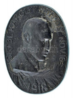 1918. Károlyi Mihály 1918. okt. 31. - nov. 16. Zn kitűző. Szign.: Zsákodi Csiszér János (1883-1953) (24x33mm) T:XF kis oxidáció Hungary 1918. Károlyi Mihály 31. okt. - 16. nov. 1918 Zn commemorative medal. Sign.: János Zsákodi