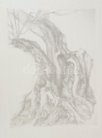 Jelzés nélkül: Fa. Litográfia, papír, lapszéli ázásnyommal, 45x34 cm.