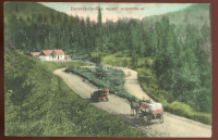 BORSZÉKFÜRDŐ 1915. ca.. Régi képeslap